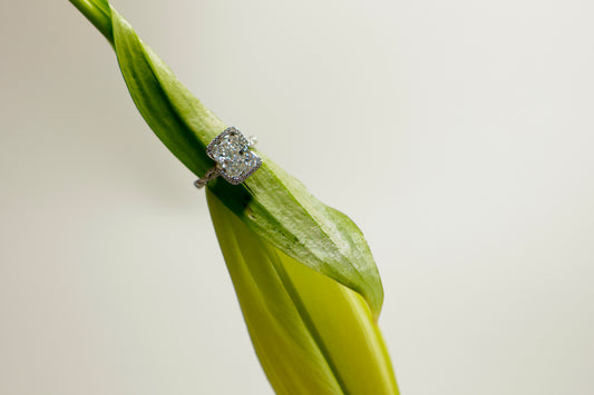 Kate and Justin's Twisted Turtle Ring