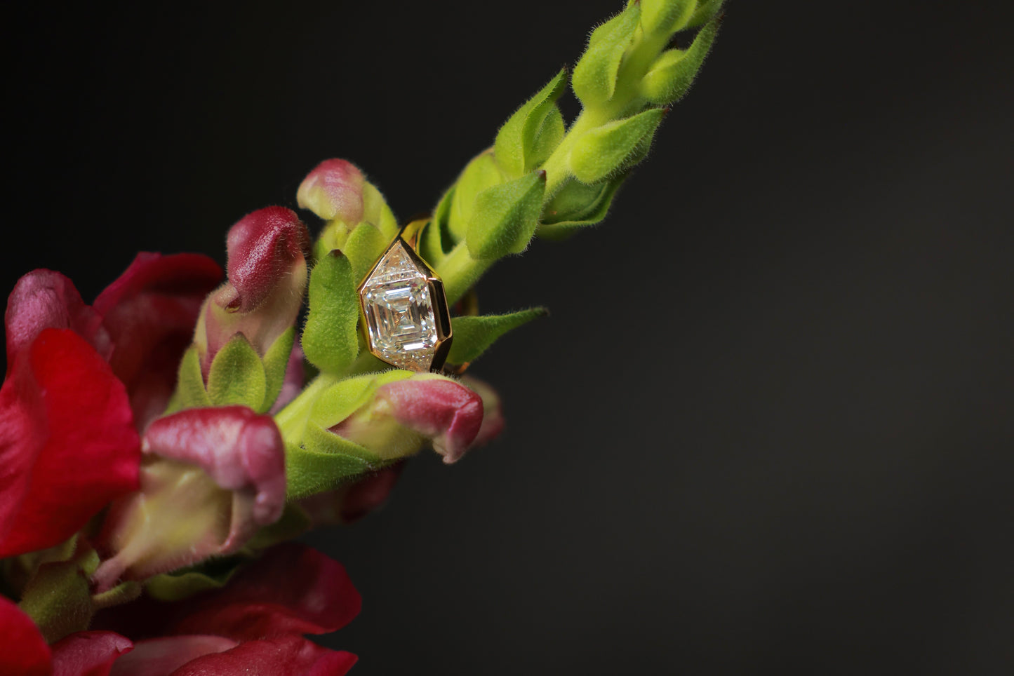 Kiera and Chase's Poppy and Magnolia Embrace Ring