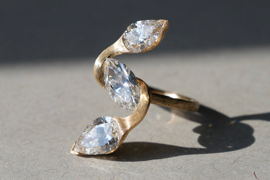 Erin and Ted’s Knot Ring