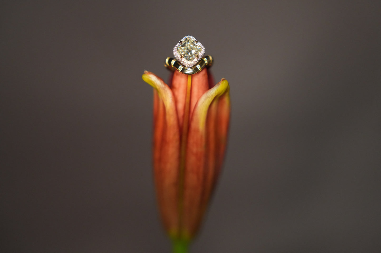 Carolyn and Ryan's Perched Yellow Diamond with White Mosaic Pavé Ring