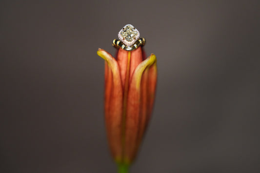Carolyn and Ryan's Perched Yellow Diamond with White Mosaic Pavé Ring