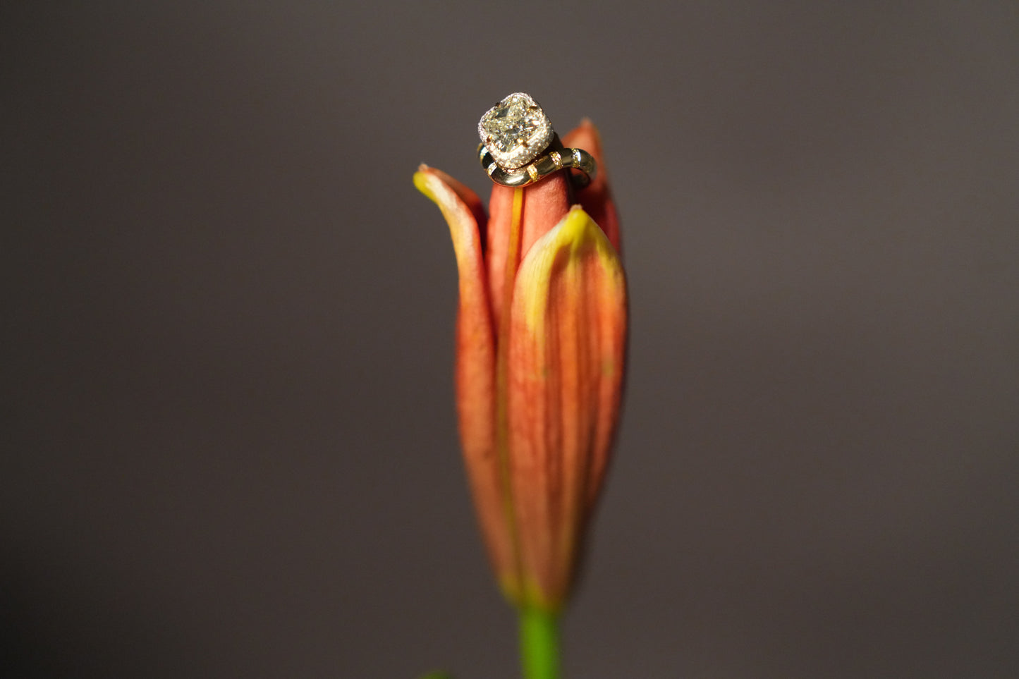 Carolyn and Ryan's Perched Yellow Diamond with White Mosaic Pavé Ring