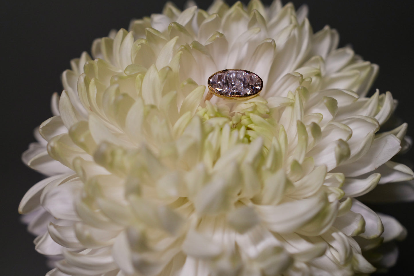Vanessa and John's Hand-Engraved Daisy Bridal Set